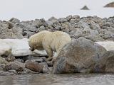 Svalbard 053