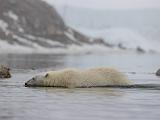Svalbard 056