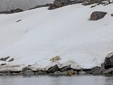 Svalbard 058