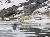 Svalbard 061