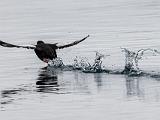 Svalbard 064