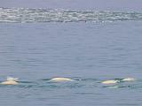Svalbard 094