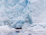Svalbard 110