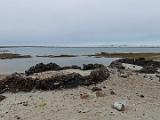 Svalbard 116