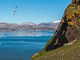 Svalbard 122