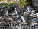 Svalbard 143