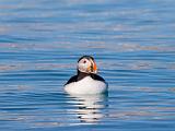 Svalbard 149
