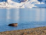 Svalbard 167