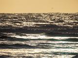 D Mendocino Headlands 005