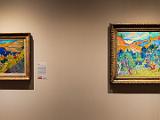 A Metropolitan Museum 005