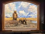 B AMNH 009