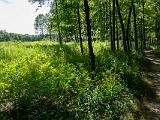 Indiana Dunes 010