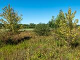 Indiana Dunes 016