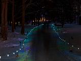 Winter Lights 007