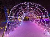 Winter Lights 011