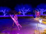 Winter Lights 013