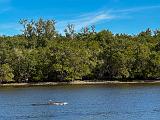 Everglades 002