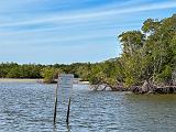 Everglades 004