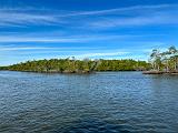 Everglades 005