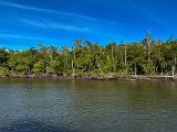 Everglades 006