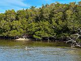 Everglades 007
