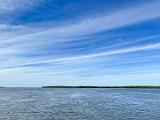 Everglades 008