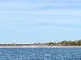 Everglades 011