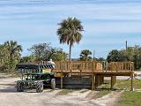 Everglades 014