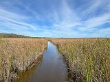 Everglades 015