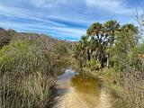 Everglades 017