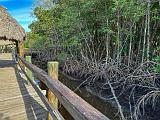 Everglades 018