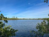 Everglades 023