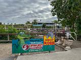 Everglades 025
