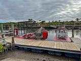 Everglades 026
