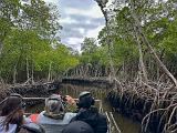 Everglades 028
