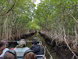 Everglades 030