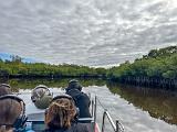 Everglades 031