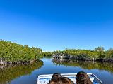 Everglades 036