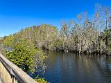 Everglades 040