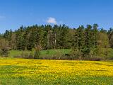 Spring 001