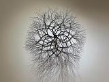 SF MoMA 019