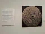 SF MoMA 022