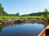 Green River 008