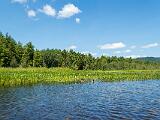 Weller Pond 008