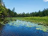 Weller Pond 010