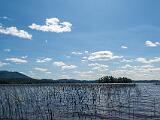 Weller Pond 015