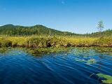Weller Pond 017