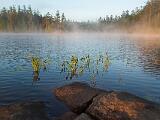 Weller Pond 023