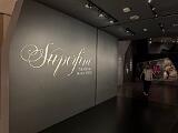 Met Museum 011