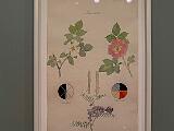 MoMA 004